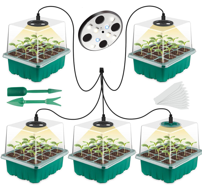 5 Pack Seedling Tray with Grow Light,Plant Seed Starter Trays Kit,Greenhouse Growing Trays with Holes 12 Cell Per Tray