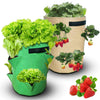 Vegetable Grow Bag