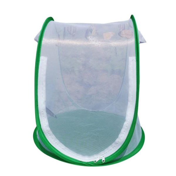 Mini Plant Greenhouse Mini Plant Greenhouse