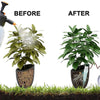 10 Pack Watering Stakes