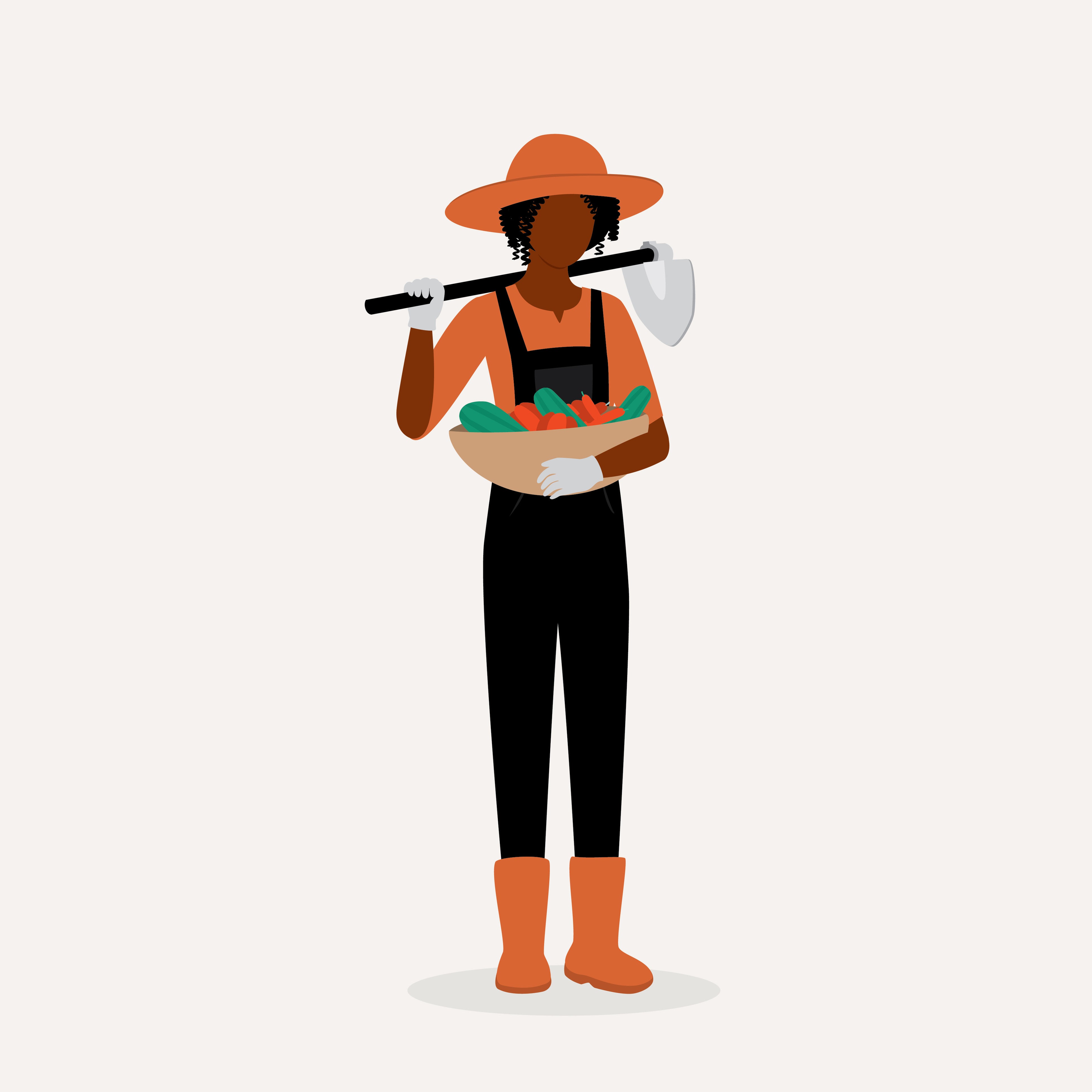 Pest Control Pest Control