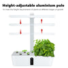 Garden Hydroponics Growing System Indoor Herb Garden Kit Automatic Timing LED Grow Lights Smart Water Pump for Home Flower Pots