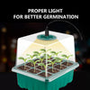 5 Pack Seedling Tray with Grow Light,Plant Seed Starter Trays Kit,Greenhouse Growing Trays with Holes 12 Cell Per Tray