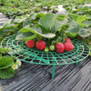 5/10/20 PCS Strawberry Stand Frame Holder Balcony Planting Rack Fruit Support Plant Flower Climbing Vine Pillar Gardening Stand