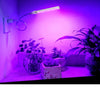 LED Grow Light DC 5V Full Spectrum Fitolampy USB Growing Lamp Red Blue Led Plant Grow Lamps Phyto Lights For Flowers Greenhouse