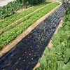 5~50m 0.02mm Agriculture Greenhouse Vegetable Plants Cover Perforated Black Plastic Film Keep Warm Anti Grass Plastic Mulch Film