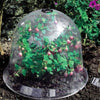 6/12PCS Reuseable 10&quot; Plastic Greenhouse Garden Plant Bell Cover Seeds Germination Cover Frost Guard Freeze Protection Dome