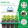 5 Pack Seedling Tray with Grow Light,Plant Seed Starter Trays Kit,Greenhouse Growing Trays with Holes 12 Cell Per Tray