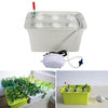 Hydroponic Indoor 6 Holes System Soilless Cultivation Plant Nursery Box Grow Kit