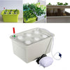 Hydroponic Indoor 6 Holes System Soilless Cultivation Plant Nursery Box Grow Kit