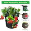 Vegetable Grow Bag