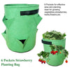 Vegetable Grow Bag