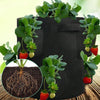 Vegetable Grow Bag