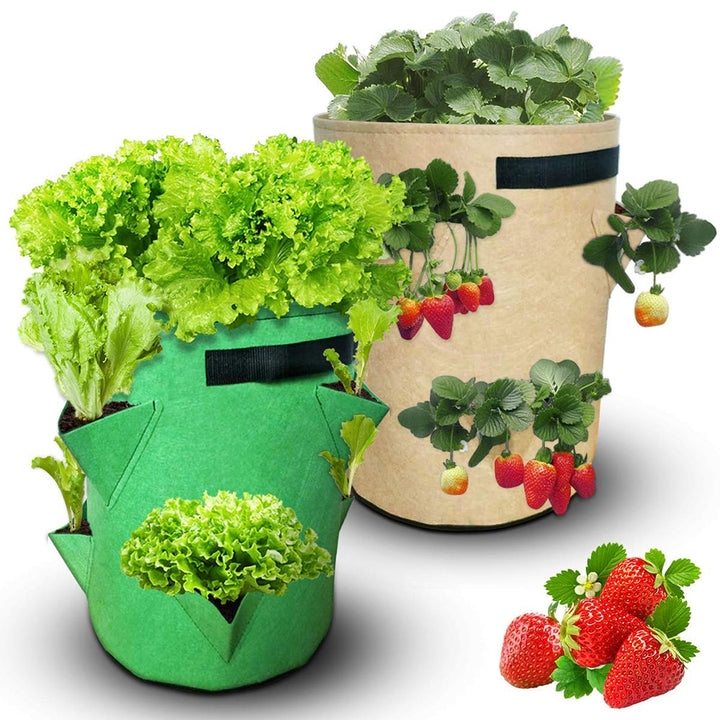 Vegetable Grow Bag