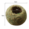 Japanese Moss Ball