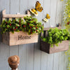 Wall Hanging Flower Pot