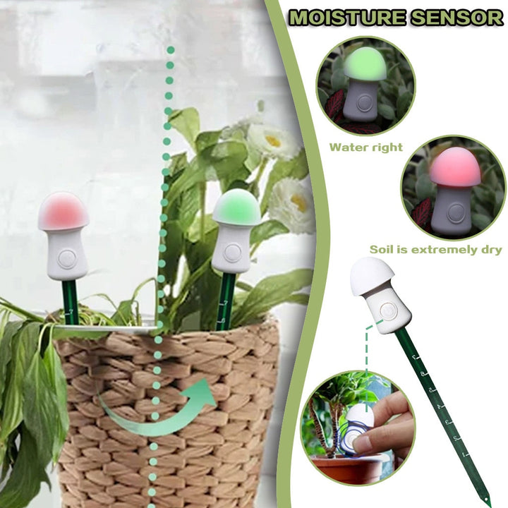 Plant Soil Moisture Meter