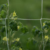 Garden Plant Climbing Net