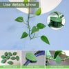 Leaf Shape Clips Plant