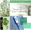 Leaf Shape Clips Plant