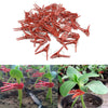 Plants Grafting Clips