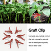 Plants Grafting Clips