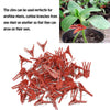 Plants Grafting Clips